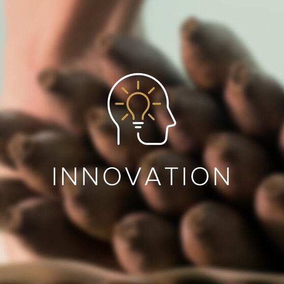 Image of Innovation with an icon on it