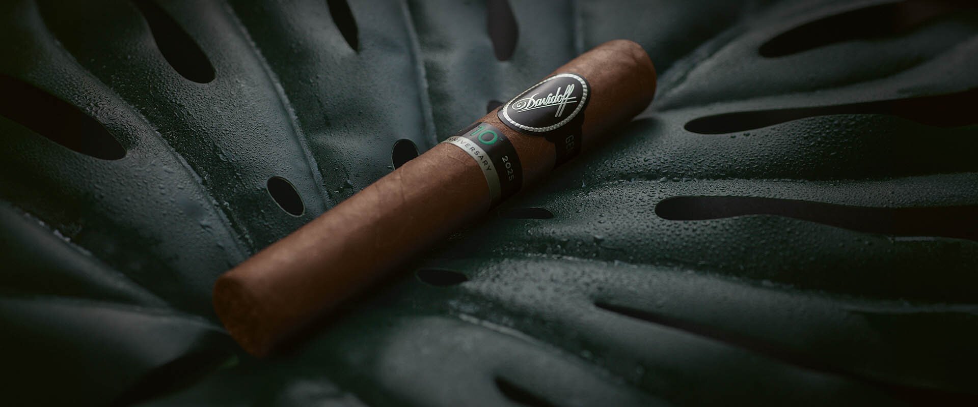 Escurio 10th Anniversary Limited Edition