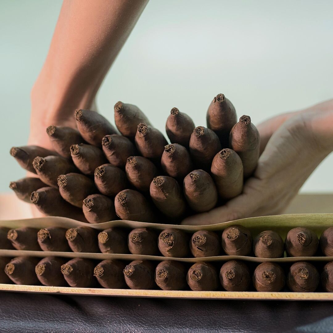 Close-up of a stack of several Davidoff cigars in the hand. 