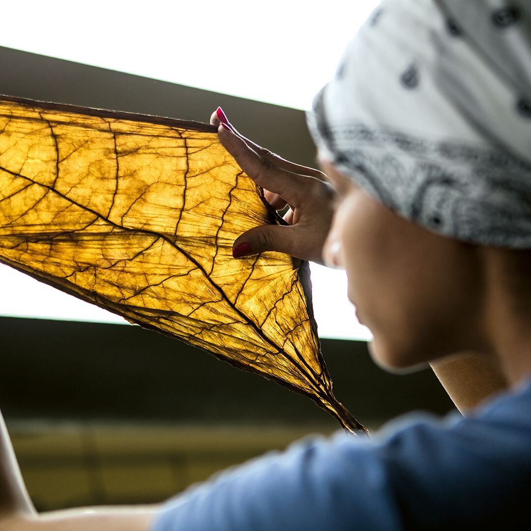 A woman holds a tobacco leaf in her hand and smiles as she holds it up to the light.