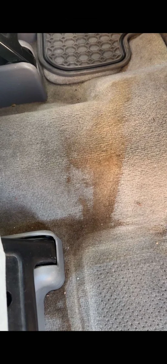 Vehicle rear floor carpet before interior detailing