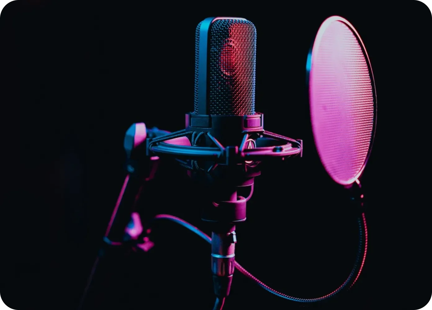Detail shot of microphone with pop filter