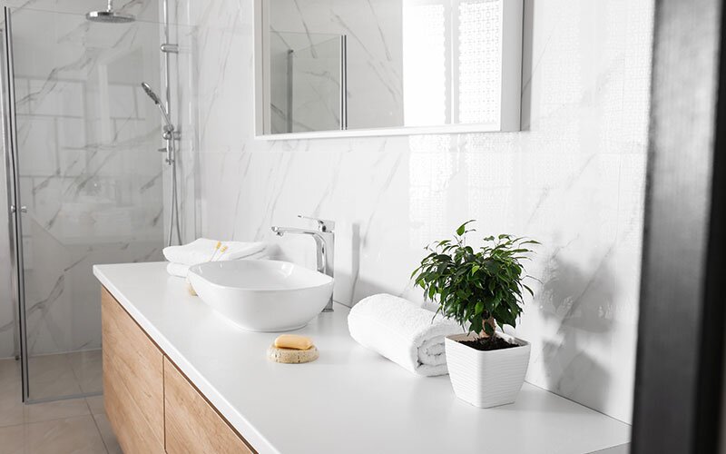 Bathroom sink, vanity, and a shower.