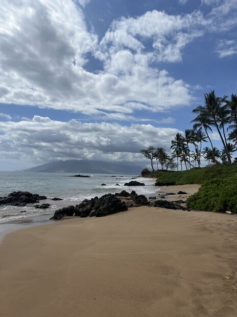 Pool area with blue lounge chairs with matching umbrellas