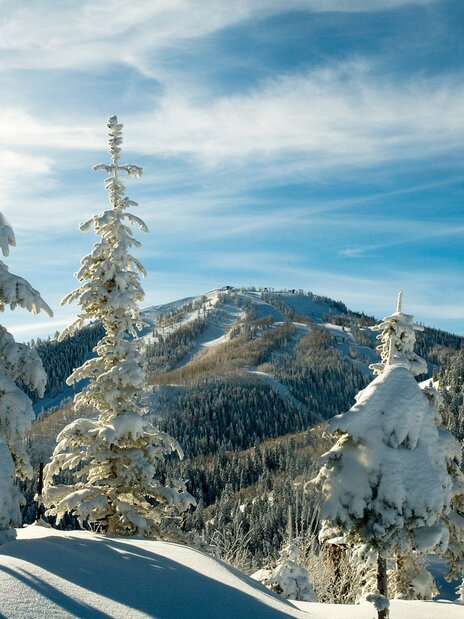 Pool area with blue lounge chairs with matching umbrellas