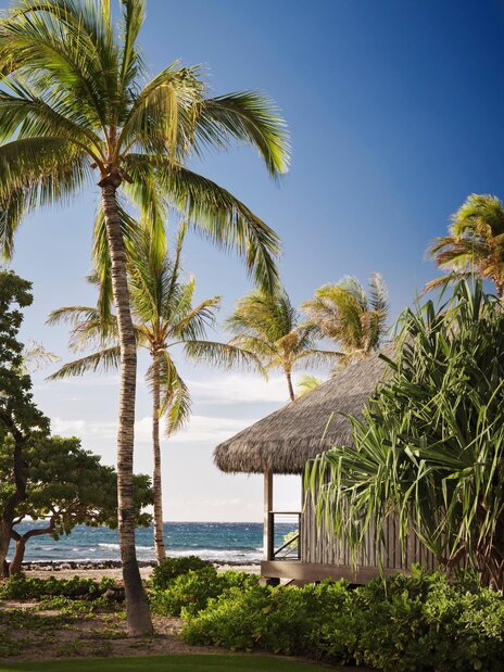 Pool area with blue lounge chairs with matching umbrellas
