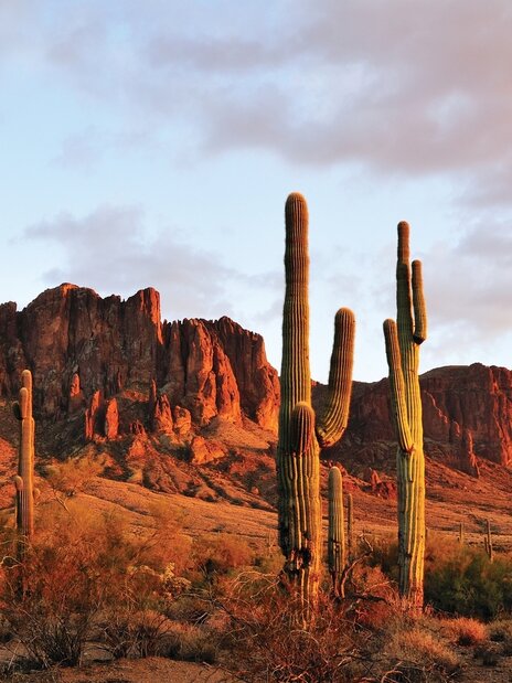 Pool area with blue lounge chairs with matching umbrellas