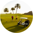 Members golfing