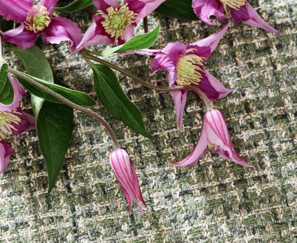 Sustainable materials