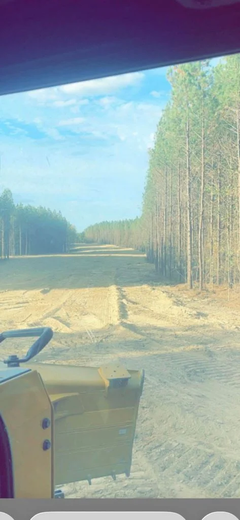 Land clearing work opening a wooded property in Middle Tennessee