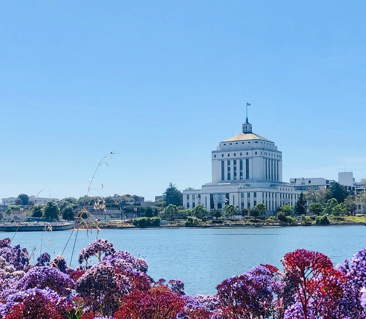 Find A Therapist In Uptown Oakland Octave