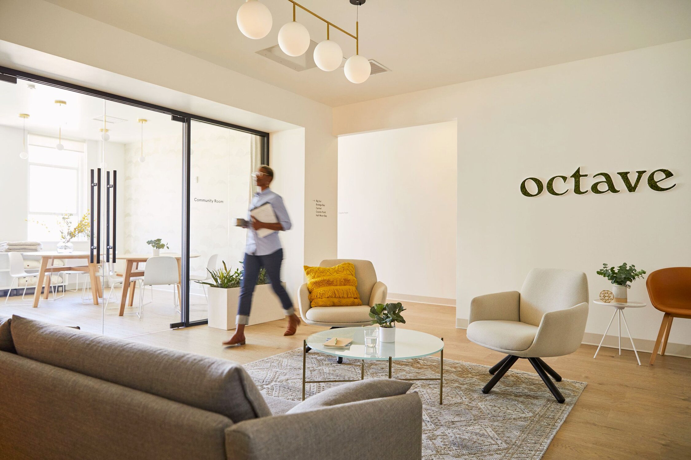 Octave office