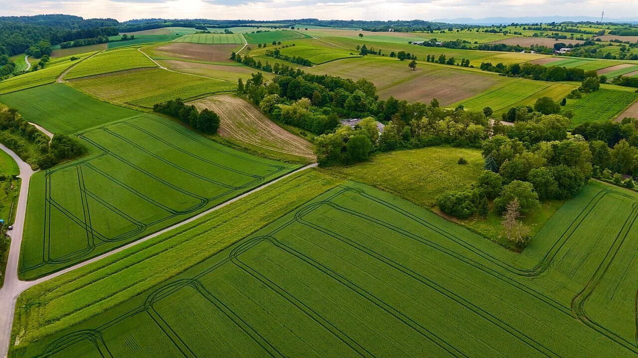 How Can Farmland Investors Use a Nevada LLC?
