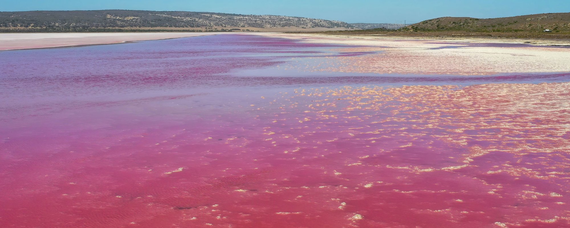 Pink Algae Lagoon
