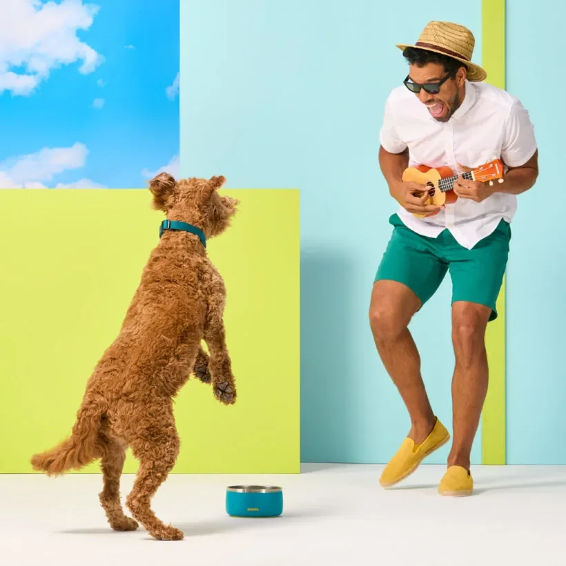 image of a dog and owner dancing by an Owala Pet Bowl