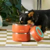 A small dog eating out of a stack of Owala Pet Bowls.