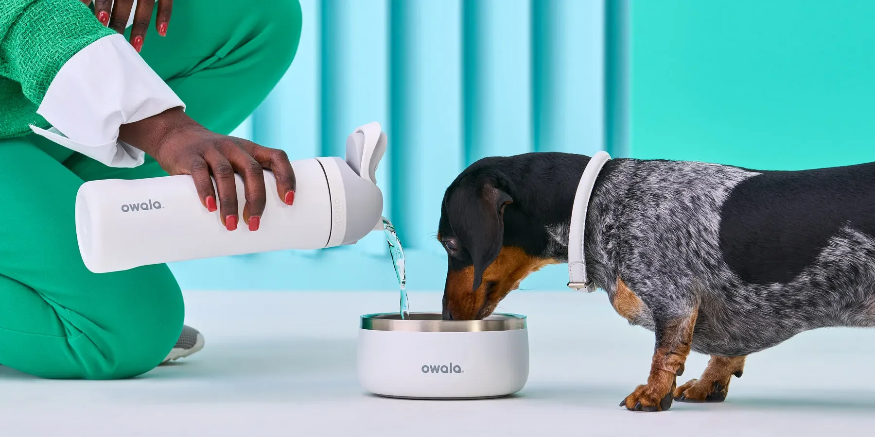 image of a dog drinking from an Owala Pet Bowl