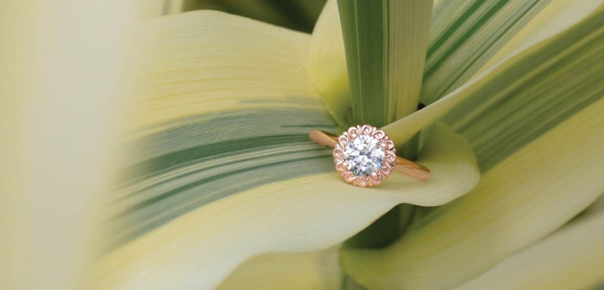 White and yellow gold diamond wedding bands styled on lace fabric, showcasing elegant bridal ring designs by Wedding Bands & Co. in Chicago