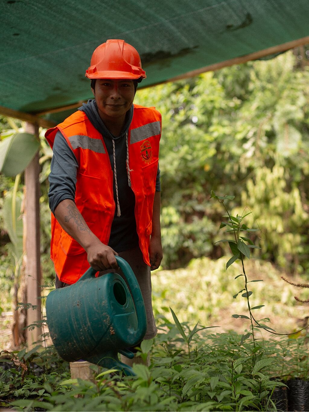 Worker in orange safety vest tending to plants in outdoor setting