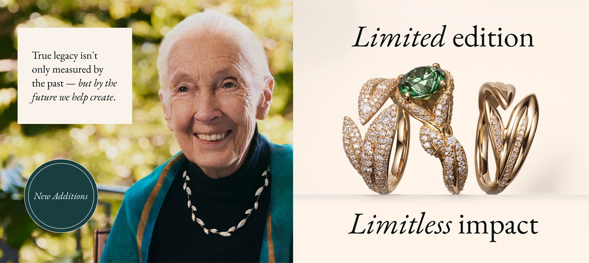 New Additions to the Jane Goodall Collection