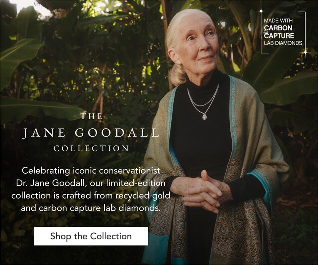 The Jane Goodall Collection