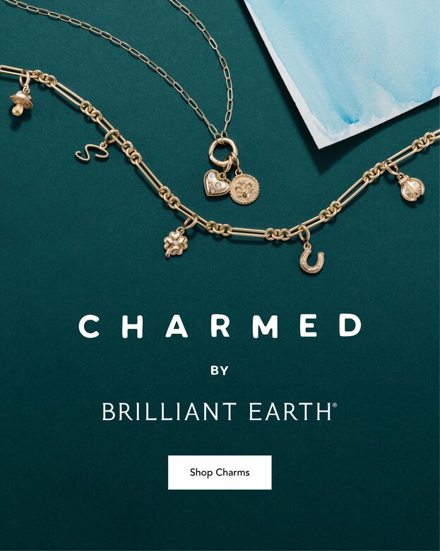 Gold charm bracelet and charm necklace.