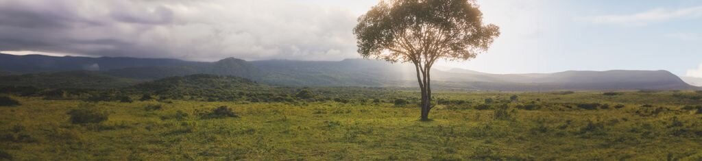 Landscape with lone tree against mountains under cloudy sky