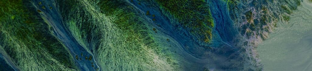 Blue and green natural landscape patterns from above