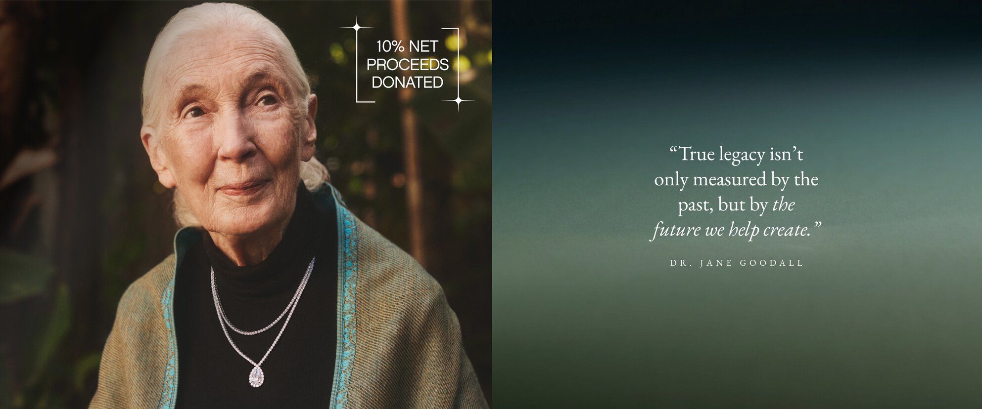 New Additions to the Jane Goodall Collection