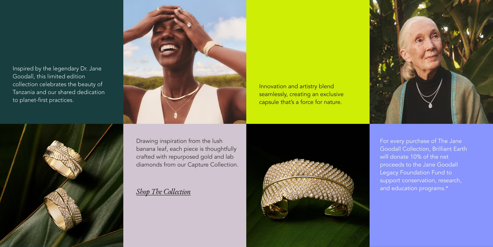 Gold and diamond rings and cuff bracelet from the Jane Goodall Collection.