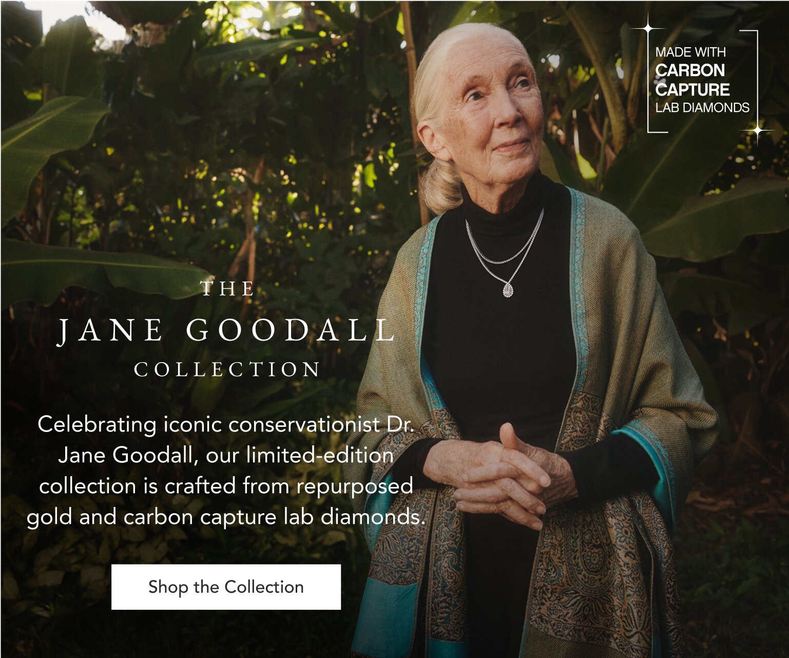 The Jane Goodall Collection