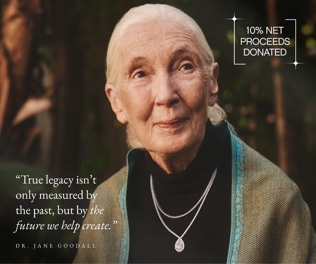 New Additions to the Jane Goodall Collection.