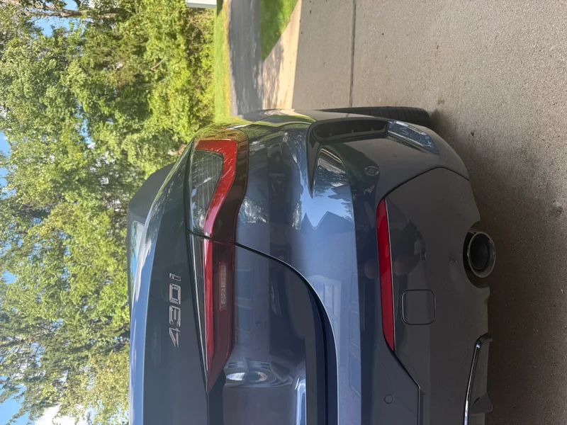 Rear detail
