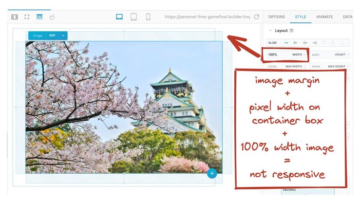 A 100% width image with margins overflows its parent container, a box with a pixel width.