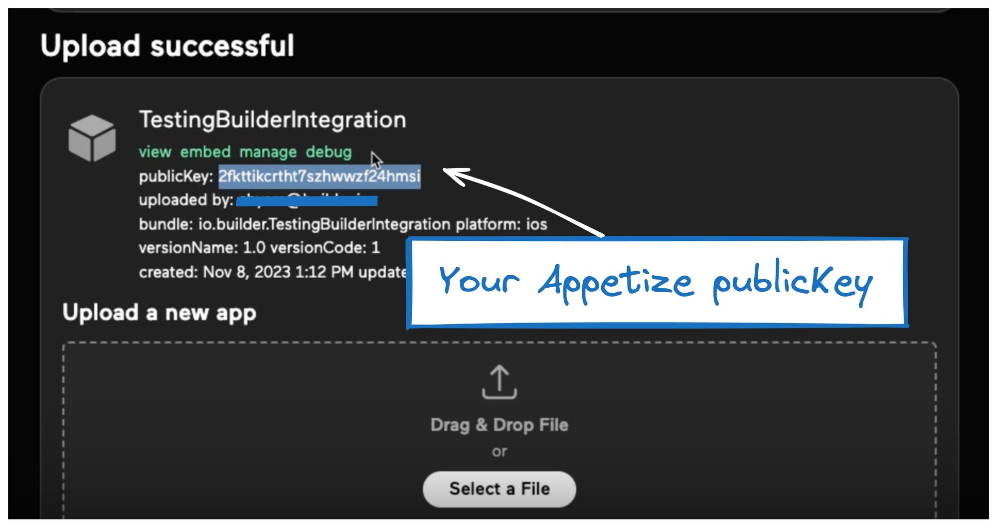 The image below shows the Appetize.io confirmation for a successful upload. In the content that displays, note the publicKey.
