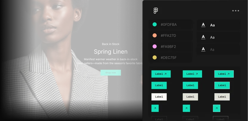 Design system components, tokens, and brand rules