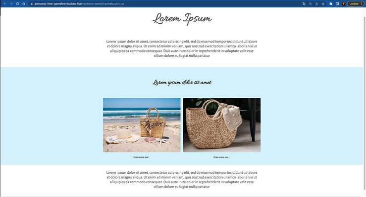 Screenshot of a hypothetical webpage with, from top to bottom, a header, paragraph,  another header, a two Column block with two pictures of handbags, and another paragaph. The two column block is in a Section block with a blue background that expands to the sides of the browser viewport. The columns are centered and aligned with the paragraphs that are outside of the blue Section block. All content but the Columns are in the Box container, which contains the blue Section.