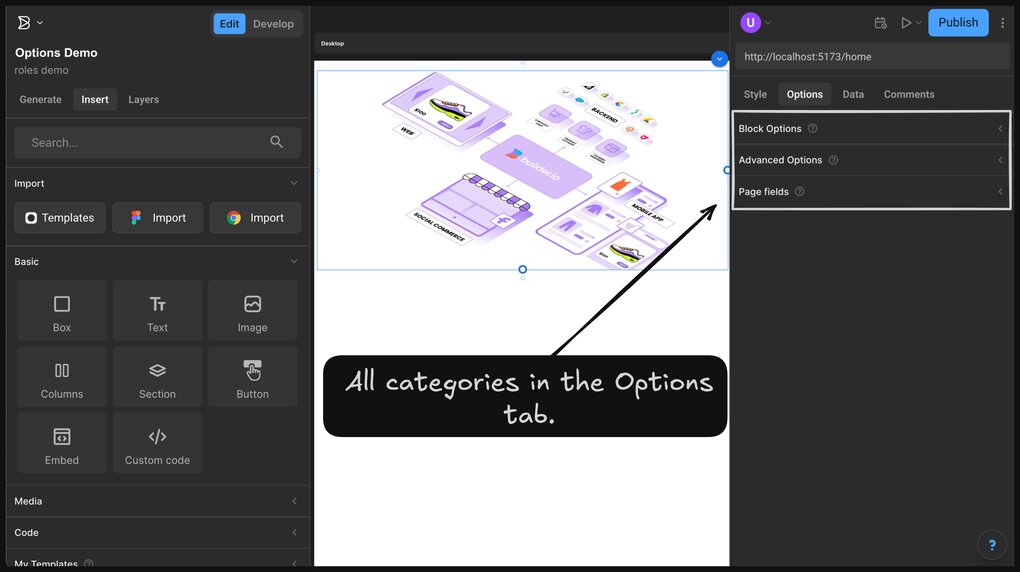 The Options tab is open in the Visual Editor. A placard reads “All categories in the Options tab” points to the Options tab, which shows all the categories: Block Options, Advanced Options, and Page fields.