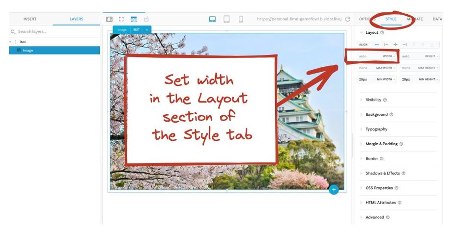 Screenshot pointing out where the Style tab is and where the width setting is within the Layout section. The width is set to auto.