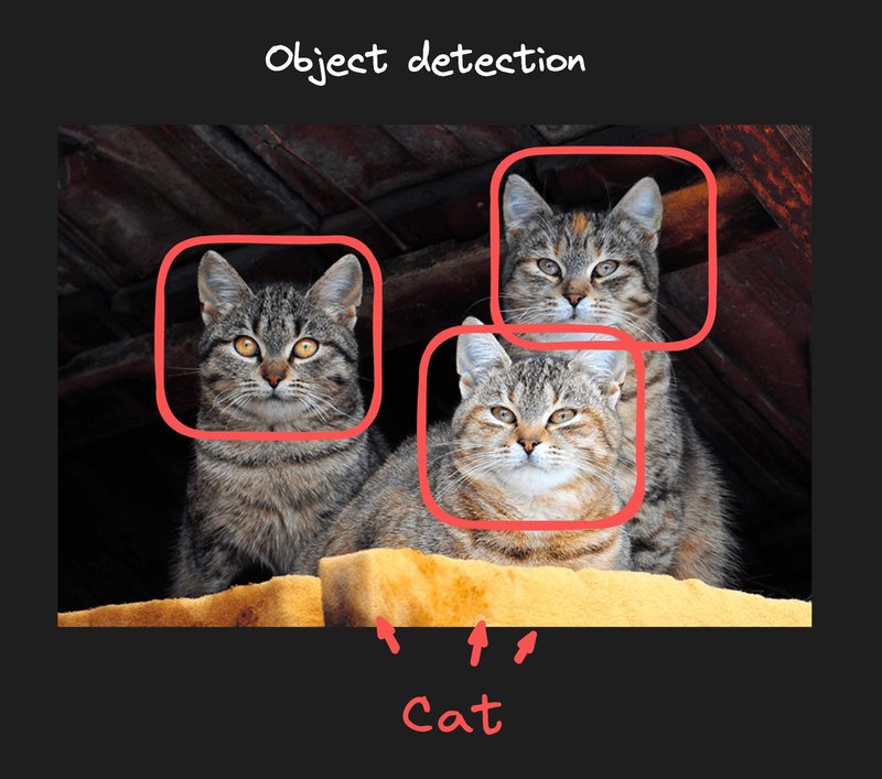 Diagram showing identifying 3 cats in a photo