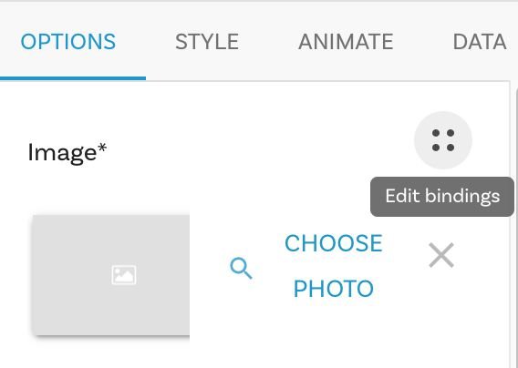 Edit Binding icon in the Options tab for the Image.
