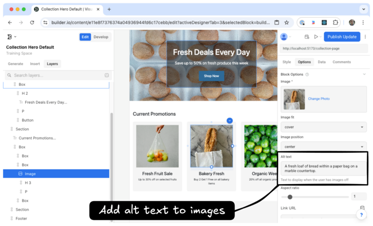 The Image Edit window where the Alt text field can be found. After clicking on an Image, it is within the Options tab.