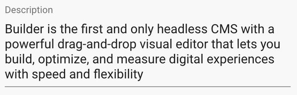 A description field in a long text format. The example is a placeholder paragraph.
