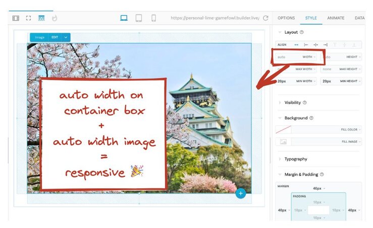 Screenshot showing an image with margins within a container, not overflowing. Auto width on outer box plus auto width on image equals a responsive image.