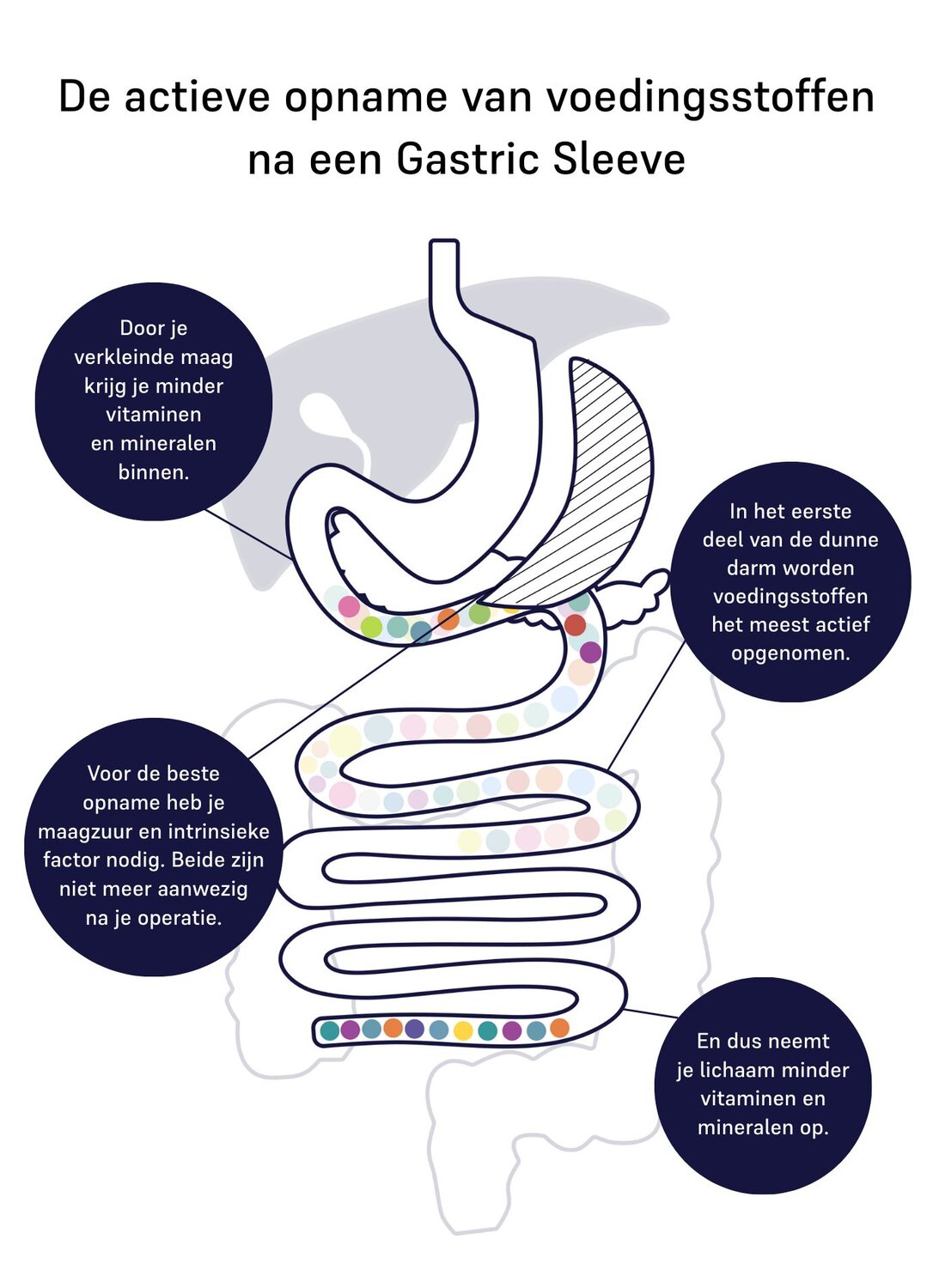 Image of active absorption 