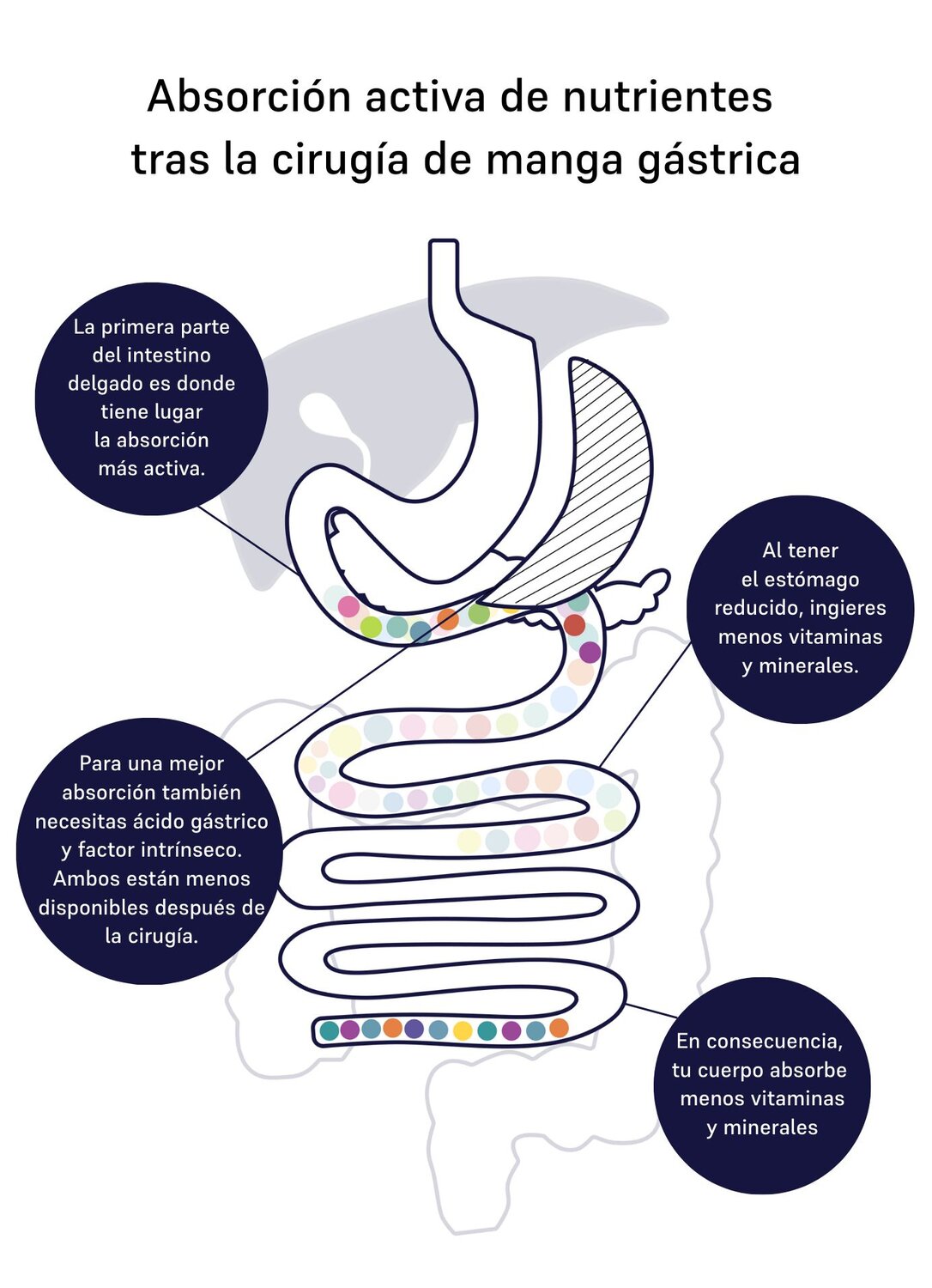 Image of active absorption 