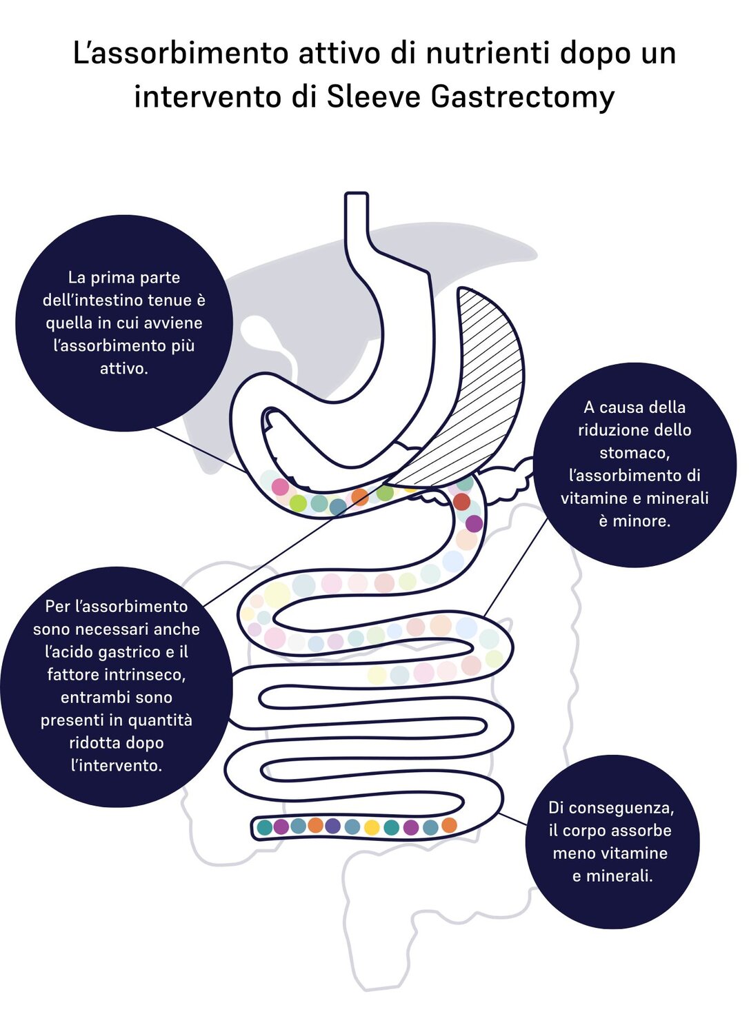 Image of active absorption 