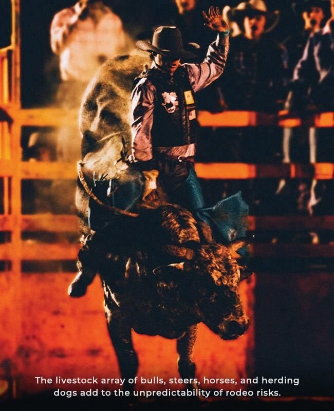 Focus_Rodeo_3