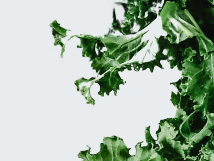 Pyridoxal-5’-Phosphate (Vitamin B6)