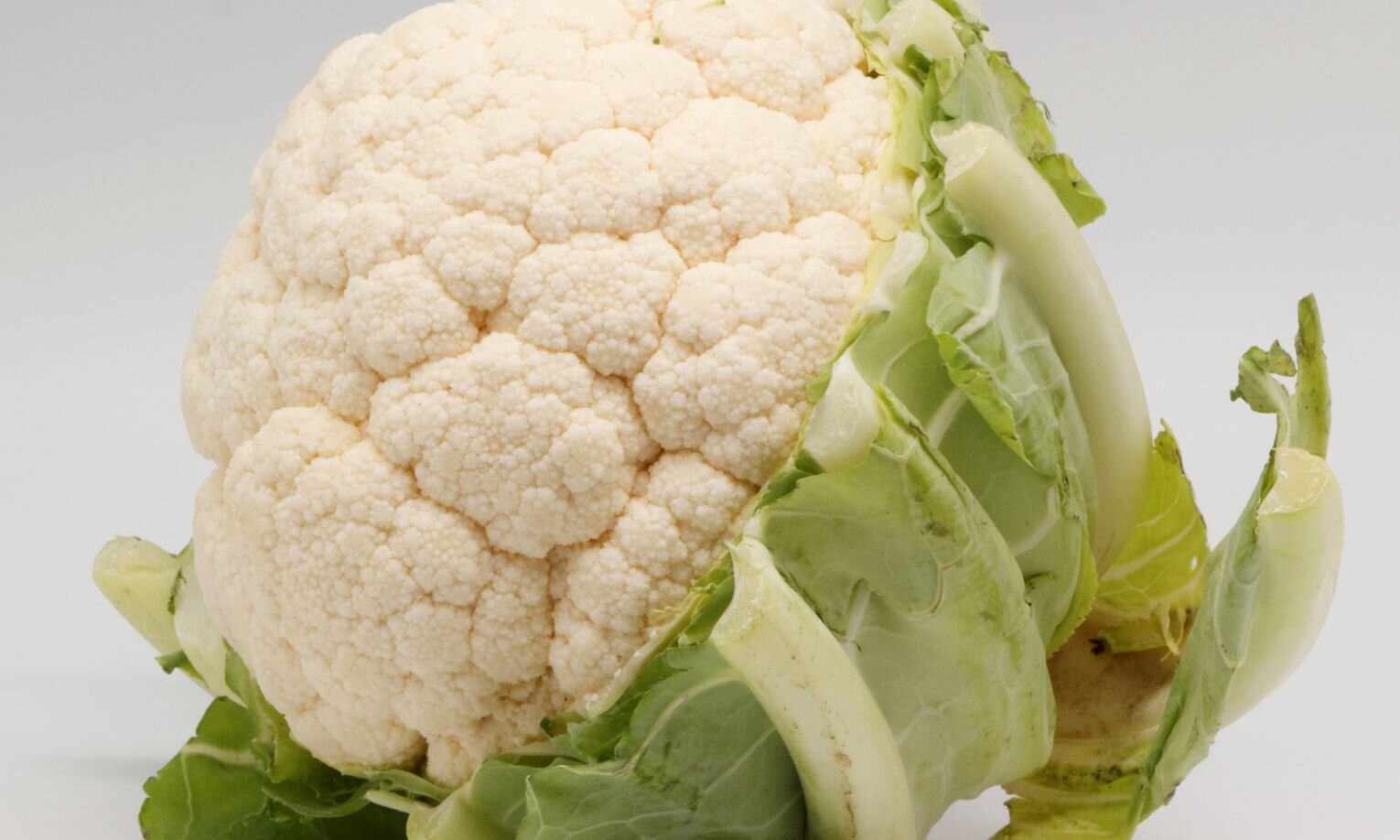 CoEnzyme Q10 Phosopholipid (CoQ10)